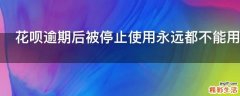 花呗逾期后被停止使用永远都不能用了吗