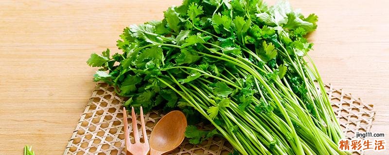 月子期间吃香菜回奶吗 香菜回奶还是下奶