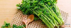 香菜煮水可以减肥吗 香菜有什么营养价值