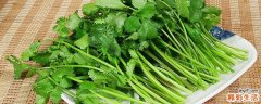 香菜有减肥效果吗 香菜怎么吃才能减肥