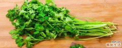 香菜和韭菜可以一起吃吗 香菜和韭菜能一起炒鸡蛋吗