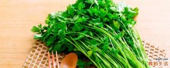 香菜生吃好还是熟吃好 香菜一天吃多少合适