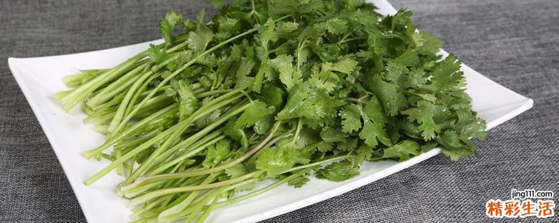 香菜含有什么成分 香菜的功效与作用