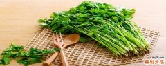 香菜可以直接放冰箱冷藏吗 香菜怎么保存