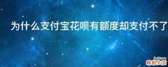 为什么支付宝花呗有额度却支付不了