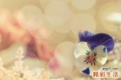 【去黑头的窍门】去除黑头小妙招 让肌肤零毛孔