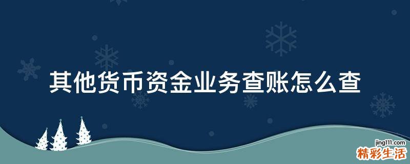 其他货币资金业务查账怎么查