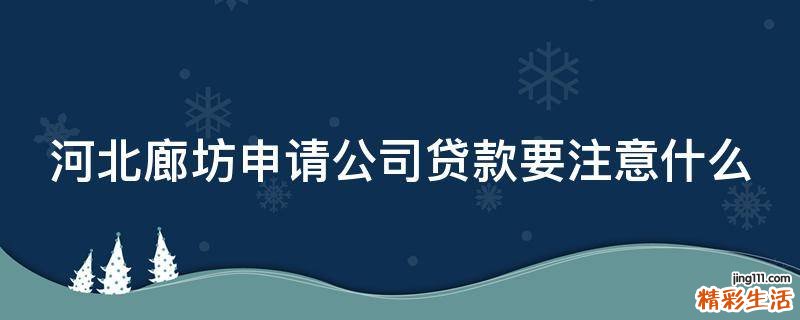 河北廊坊申请公司贷款要注意什么