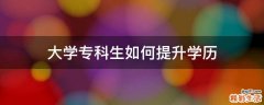 大学专科生如何提升学历