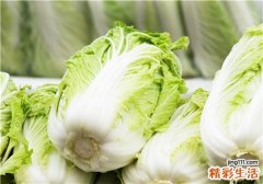 凉拌白菜心怎么做 白菜的做法大全