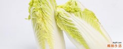 白菜放冰箱还是常温 白菜放了几个月还没烂