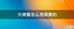 大闸蟹怎么挑满黄的