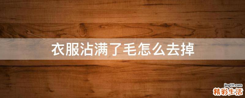 衣服沾满了毛怎么去掉