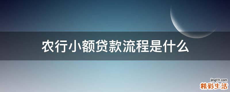 农行小额贷款流程是什么