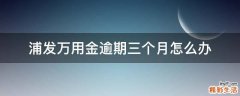 浦发万用金逾期三个月怎么办