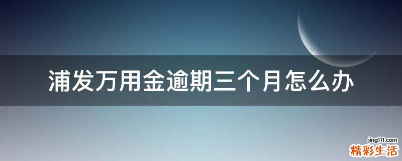 浦发万用金逾期三个月怎么办