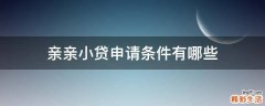 亲亲小贷申请条件有哪些