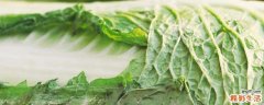 冻过的白菜可以吃吗 冻白菜怎么吃