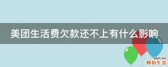 美团生活费欠款还不上有什么影响