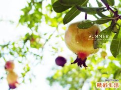 舌乳头增生是怎么回事？