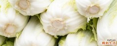 白菜和什么不能一起吃 吃白菜有哪些好处