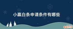 小赢白条申请条件有哪些