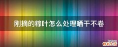 刚摘的粽叶怎么处理晒干不卷