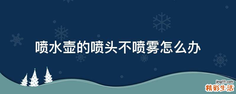 喷水壶的喷头不喷雾怎么办