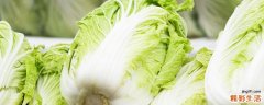 白菜是酸性还是碱性 白菜是上火还是降火