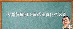 大黄花鱼和小黄花鱼有什么区别