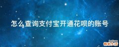 怎么查询支付宝开通花呗的账号
