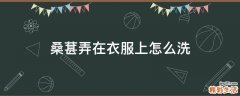 桑葚弄在衣服上怎么洗