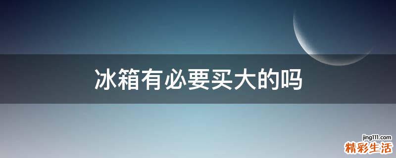 冰箱有必要买大的吗