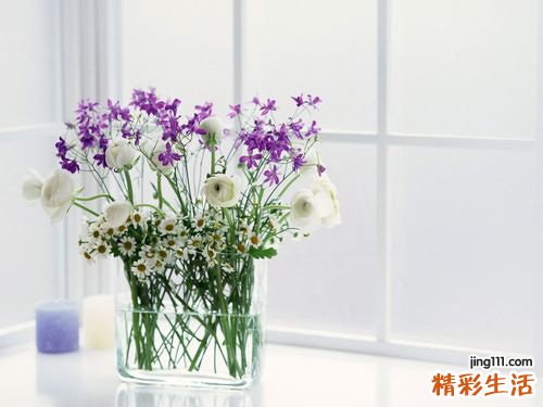 3 龙葵子