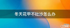 冬天花甲不吐沙怎么办
