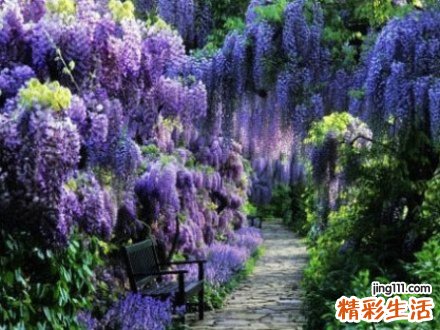 3 必学！睡前20分钟美肤计划