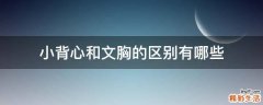 小背心和文胸的区别有哪些