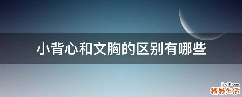 小背心和文胸的区别有哪些