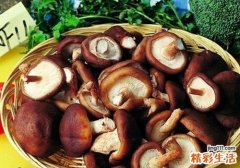 干香菇怎么保存
