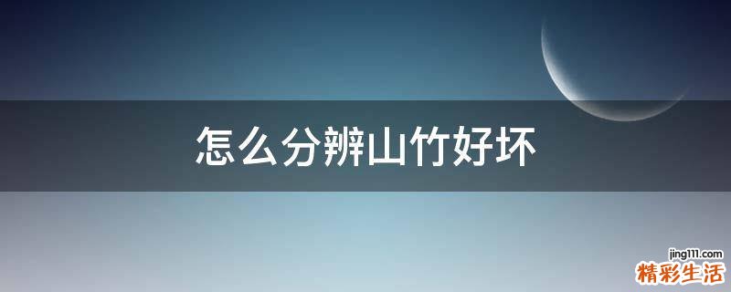 怎么分辨山竹好坏