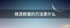 挑选鹅蛋的方法是什么
