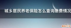 城乡居民养老保险怎么查询缴费情况