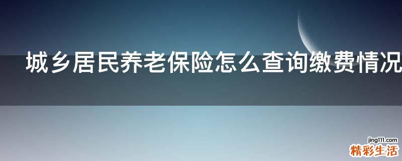 城乡居民养老保险怎么查询缴费情况