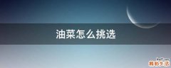 油菜怎么挑选