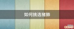 如何挑选猪肺