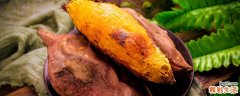 空气炸锅烤红薯需要翻面吗 用空气炸锅烤红薯需要放油吗