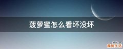 菠萝蜜怎么看坏没坏