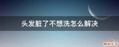 头发脏了不想洗怎么解决