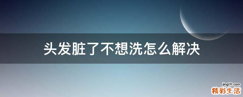 头发脏了不想洗怎么解决