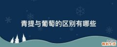 青提与葡萄的区别有哪些